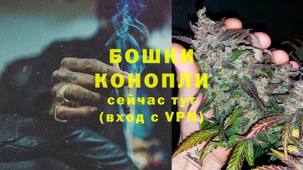 дурь Алзамай