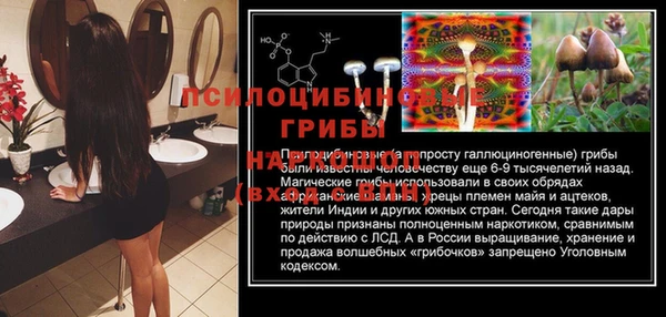 МДПВ Приозерск