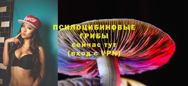 дурь Алзамай
